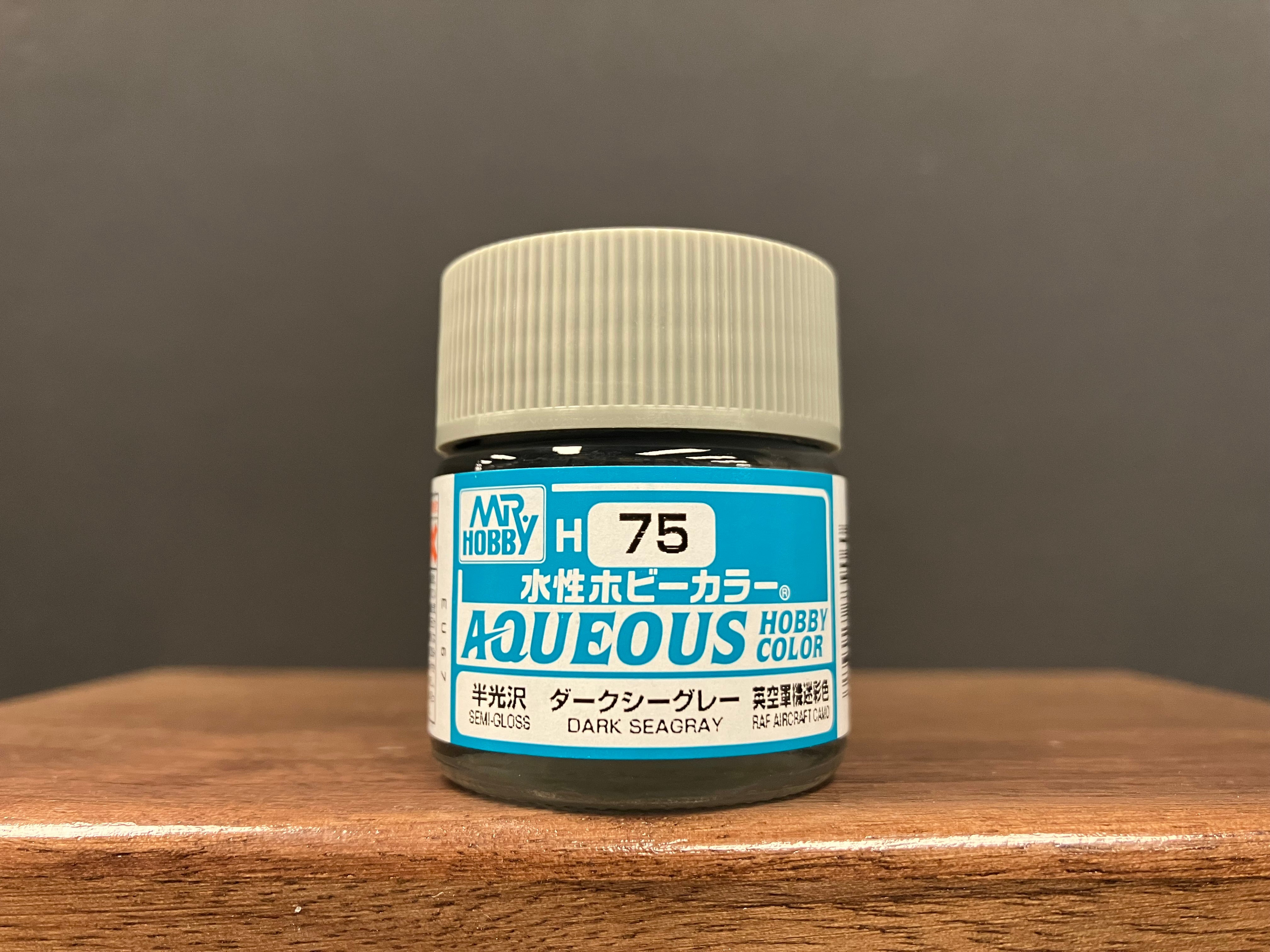 Semi-Gloss Dark Sea Gray H75
