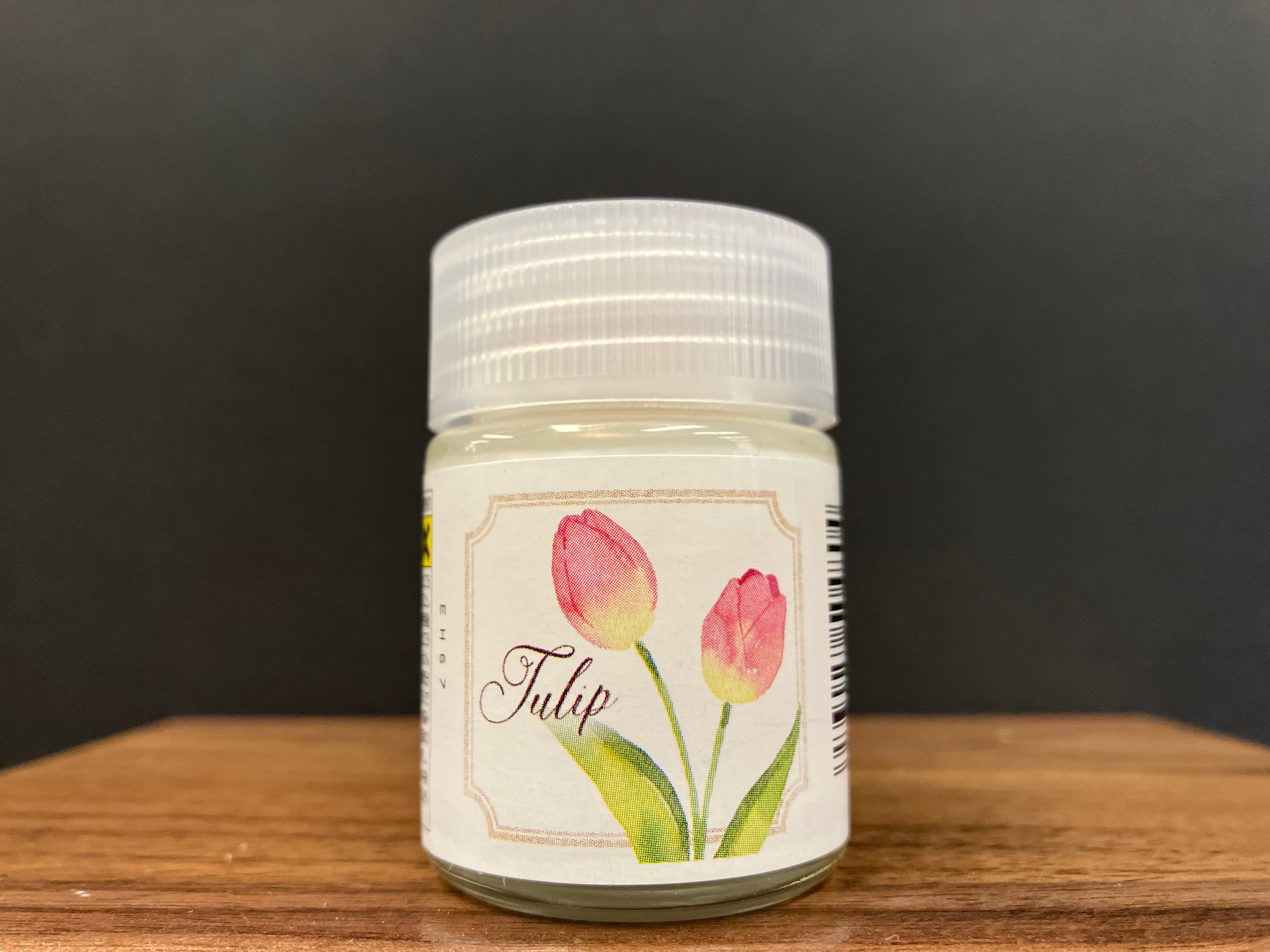 Aqueous Hobby Color Classy 'n Dressy Color HCD01 - HCD08